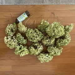 無農薬　アナベルドライフラワー紫陽花ドライフラワー　一箱　セット　大きいの画像