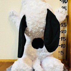 ♡未使用♡スヌーピー♡寝そべり♡BIGぬいぐるみ♡ぬいぐるみ♡クレーンゲーム♡UFOキャッチャー♡景品♡大きい♡ビッグ♡ラウンド1♡9月♡の画像