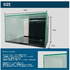 ガラスエッジ幅45cmコレクションケースの画像