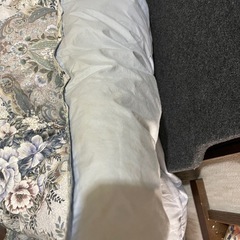 羽毛、かけ布団
の画像