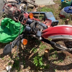 ホンダ　バイク
の画像