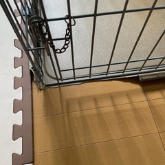 犬ケ-ジの画像