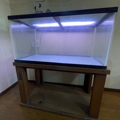 🐟90センチ水槽3点セット　まとめて引取歓迎／9月中受け渡し）39の画像
