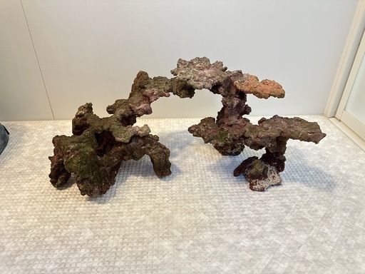 人工ライブロック