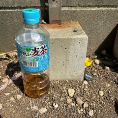 ブロック　土台の画像