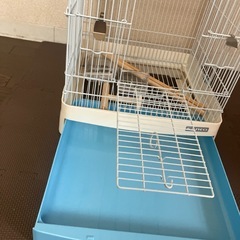鳥かごの画像