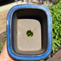 植木鉢の画像