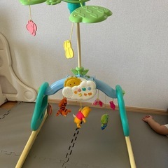 プーメリーの画像