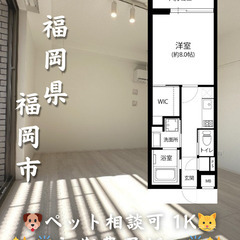 【初期費用ゼロ🙌】福岡市南区 家賃9.7万 1K ペット相談可◎ フリーレント期間あり✨の画像