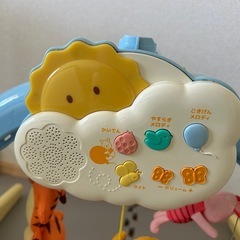 プーメリーの画像