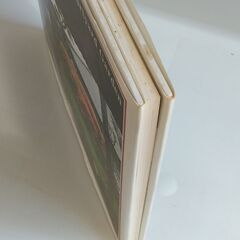 【中古品】坪庭　水野克比古　京都書院1991の画像