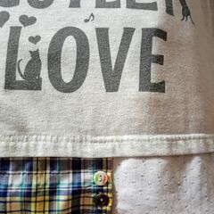 猫イラスト&ロゴ♪飾りボタンも可愛い♪【青チェック襟付き 半袖Ｔシャツ】Ｌサイズ(女児160位)♪通学トップス・プルオーバー♪グレーの画像