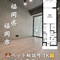 【初期費用ゼロ🙌】福岡市南区 1K 家賃9.6万 ペット相…