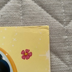 【14日までの掲載】フォトアルバムの画像