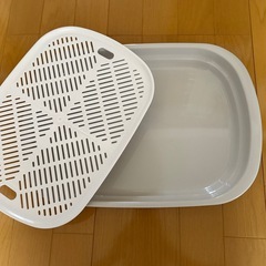 ざるの画像