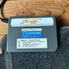 【9月11日まで 無料 ホットカーペット 一畳 山善 SUS-100 2017年製】の画像