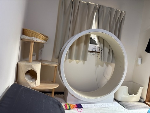 問い合わせ中
キャットタワー　キャットホイール　餌　猫砂　トイレ　自動給餌器