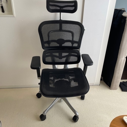 エルゴヒューマン プロ ヘッドレスト付き ergohuman PRO