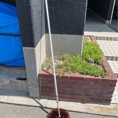 ◆早い方優先‼︎  外壁・天井払い  蜘蛛の巣取り棒　の画像