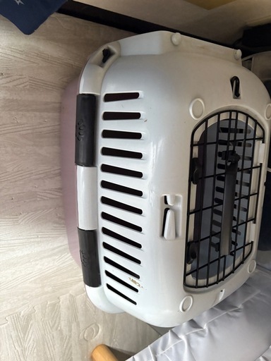 問い合わせ中
キャットタワー　キャットホイール　餌　猫砂　トイレ　自動給餌器