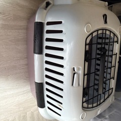 キャットタワー　キャットホイール　餌　猫砂　トイレ　自動給餌器の画像
