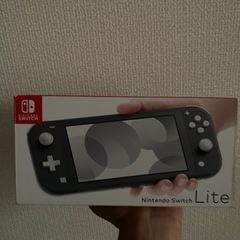 任天堂SwitchLightの画像