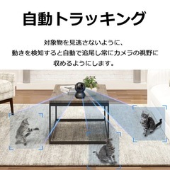 新品 TP-Link Tapo C211 カメラ 1080pナイトビジョン 動作検知 双方向通話 防犯 見守りWi-Fiの画像
