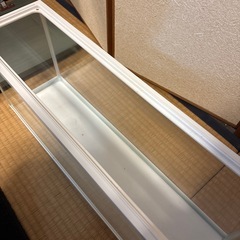 お話中　
６０㎝スリム水槽の画像