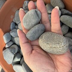 フィリピン那智石　在庫限り☆彡の画像