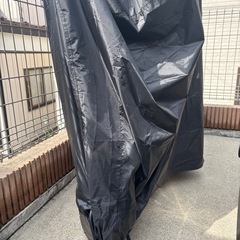 SUZUKI  LET'S5Gの画像