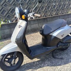 ホンダトゥデイ50cc自賠責付き整備済の画像