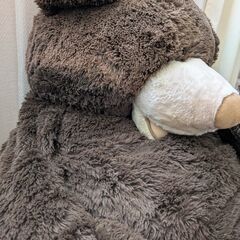コストコ　くまの画像
