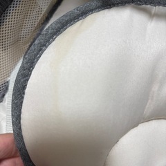 電動バウンサーの画像