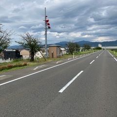 九頭竜川中部漁協組合員による落ち鮎直売会@新幹線下流右岸2025 - 地域/お祭り