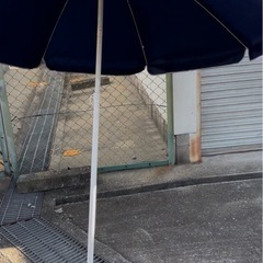 パラソルの画像