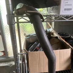 シグナスの画像