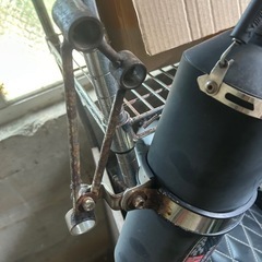 シグナスの画像