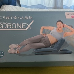 『新品』
GORONEX エクササイズマット ツインボール付きの画像