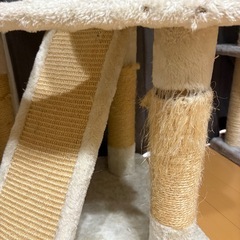 キャットタワーの画像