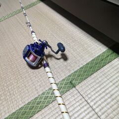 釣り　竿　リール　無限ピュア船　落とし込みスペシャル180-100 ハイパータナセンサー500F 美品の画像