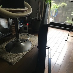 パナソニックVIERA TH-49DX600の画像