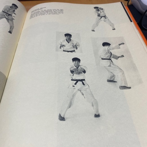 極真空手　英文技術書　What is KARATE？