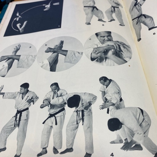 極真空手　英文技術書　Aevanced KARATE 極真空手 英文技術書 Aevanced KARATE