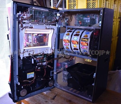 人気シリーズ】☆南国育ちC／1A-30☆蝶々Ver30☆アムテックス☆5号機