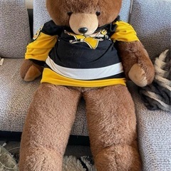 クマのぬいぐるみの画像