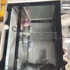 爬虫類用ゲージの画像