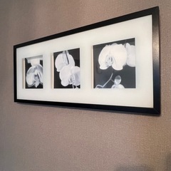 アートパネル　9/12まで！の画像