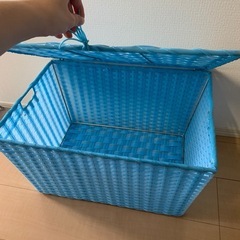 カラーバスケットの画像