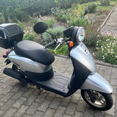 トゥデイ　原付スクーター　50cc  　値引き可の画像