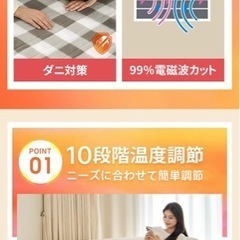 電気毛布 敷き 冬物家電 掛け敷き兼用 毛布 肩掛け モバイルバッテリーの画像
